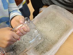 W Magicznym Lesie Książek 