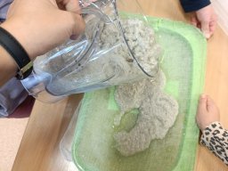 W Magicznym Lesie Książek 